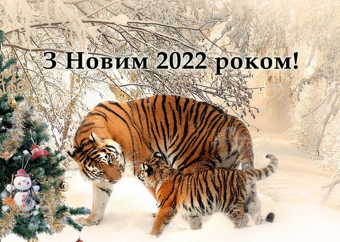 З наступаючими святами 2022! 
